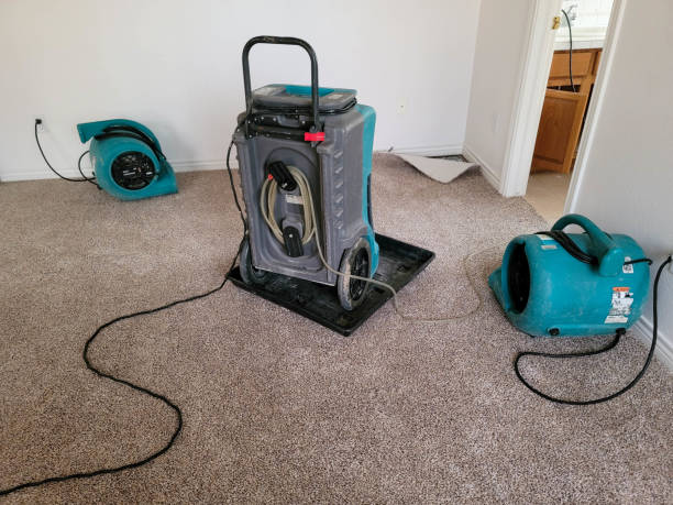 Best Ceiling water damage repair  in Littlestown, PA