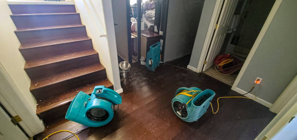 Best Water damage restoration near me  in Littlestown, PA