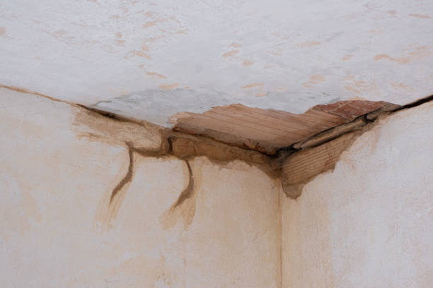 Best Flood damage cleanup  in Littlestown, PA