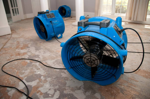 Best Professional water damage repair  in Littlestown, PA