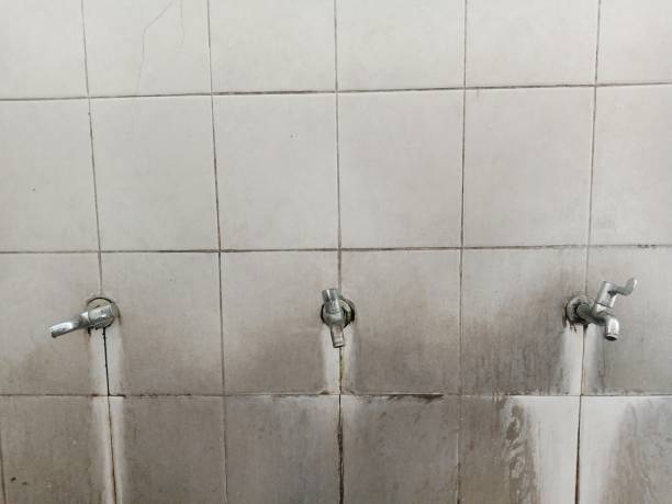 Best Fire Damage Restoration  in Littlestown, PA