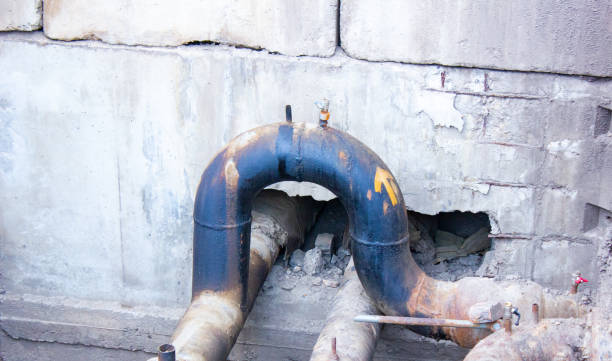 Best Mold removal after water damage  in Littlestown, PA